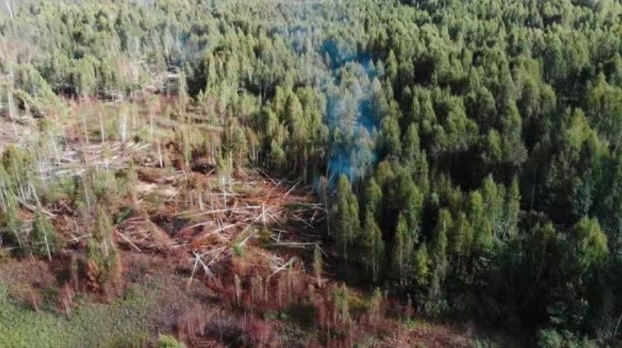 Уповноважений: рашисти своїми діями продовжують спричиняти техногенні та екологічні катастрофи в Україні