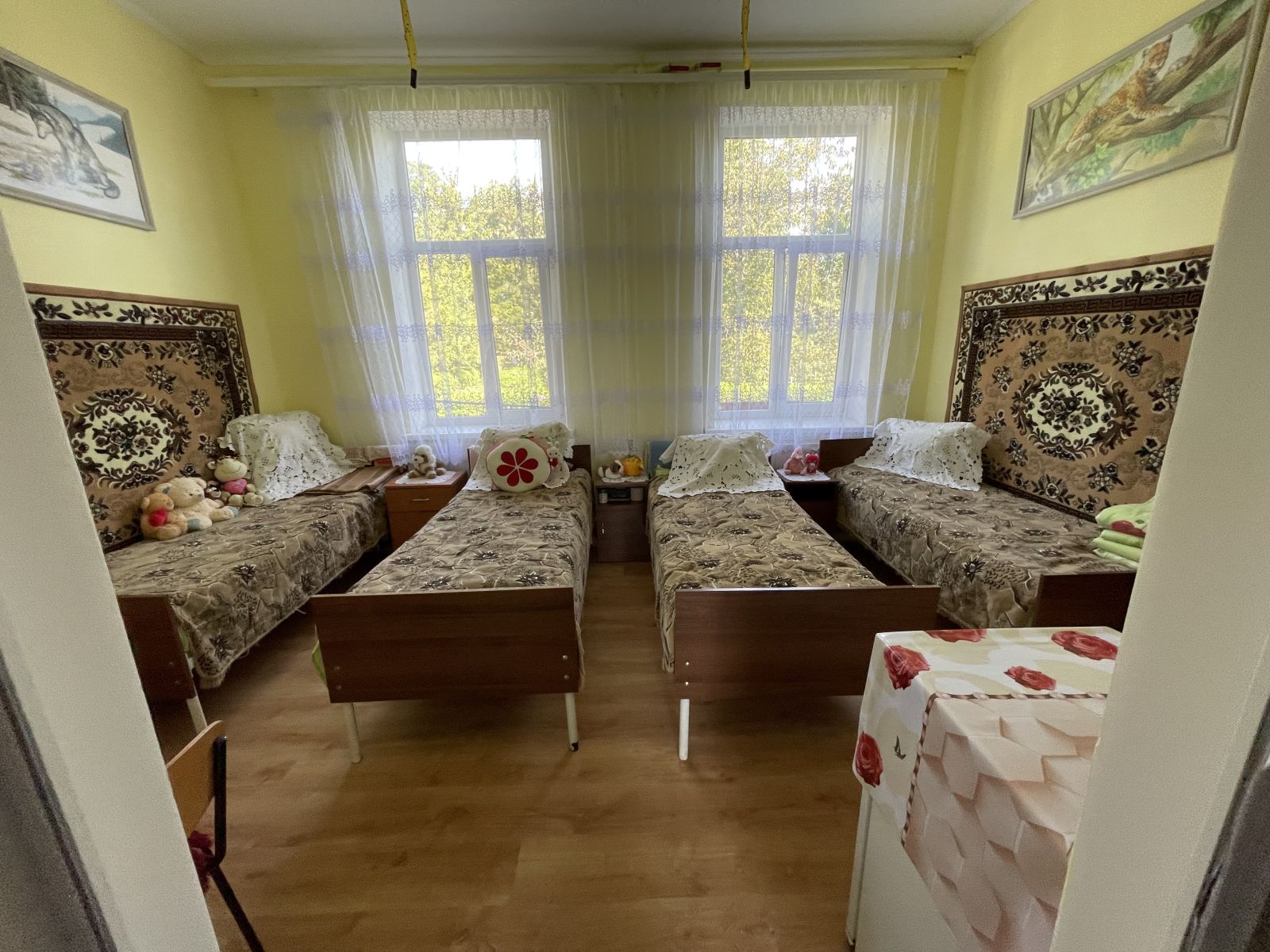 Відвідування Петричанського психоневрологічного будинку-інтернату в Чернівецькій області
