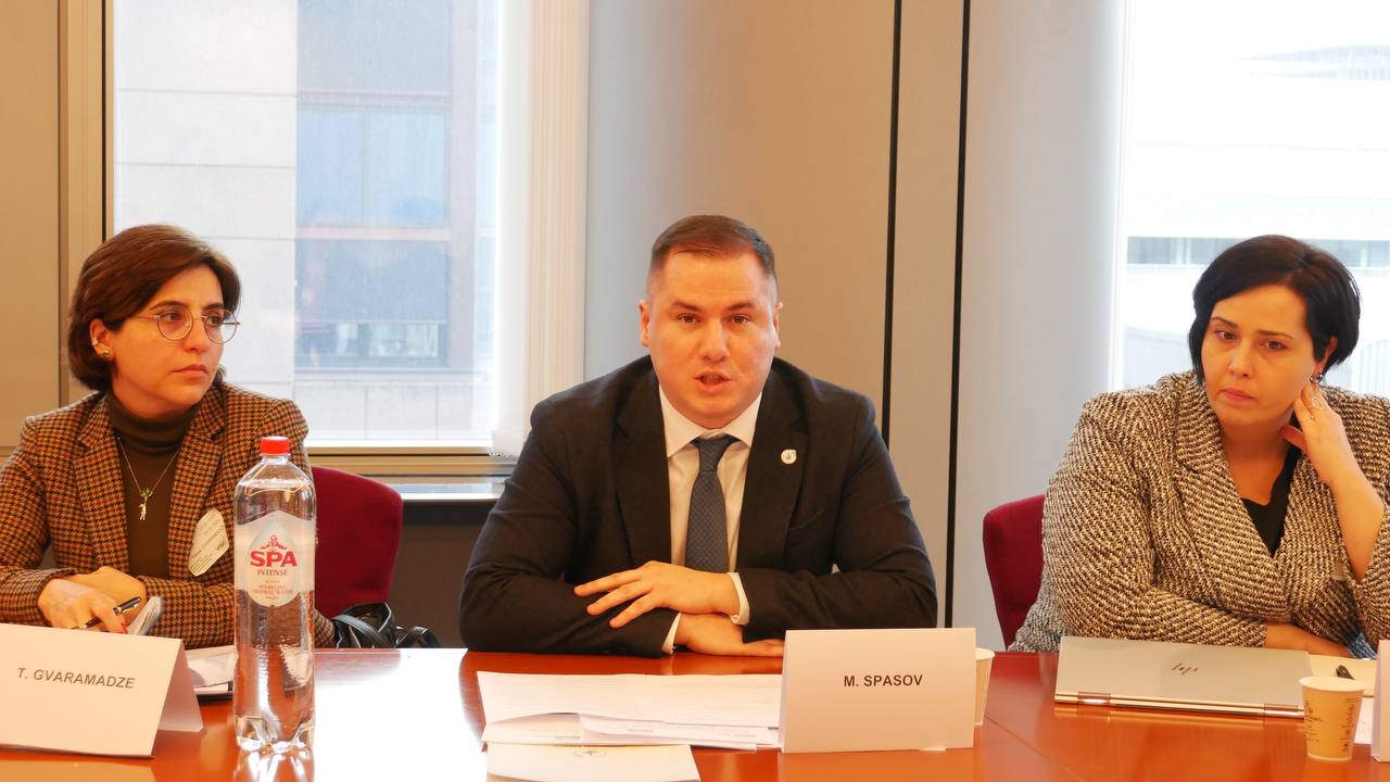 Круглий стіл «Нове партнерство для верховенства права, демократії та прав людини в країнах розширення ЄС»