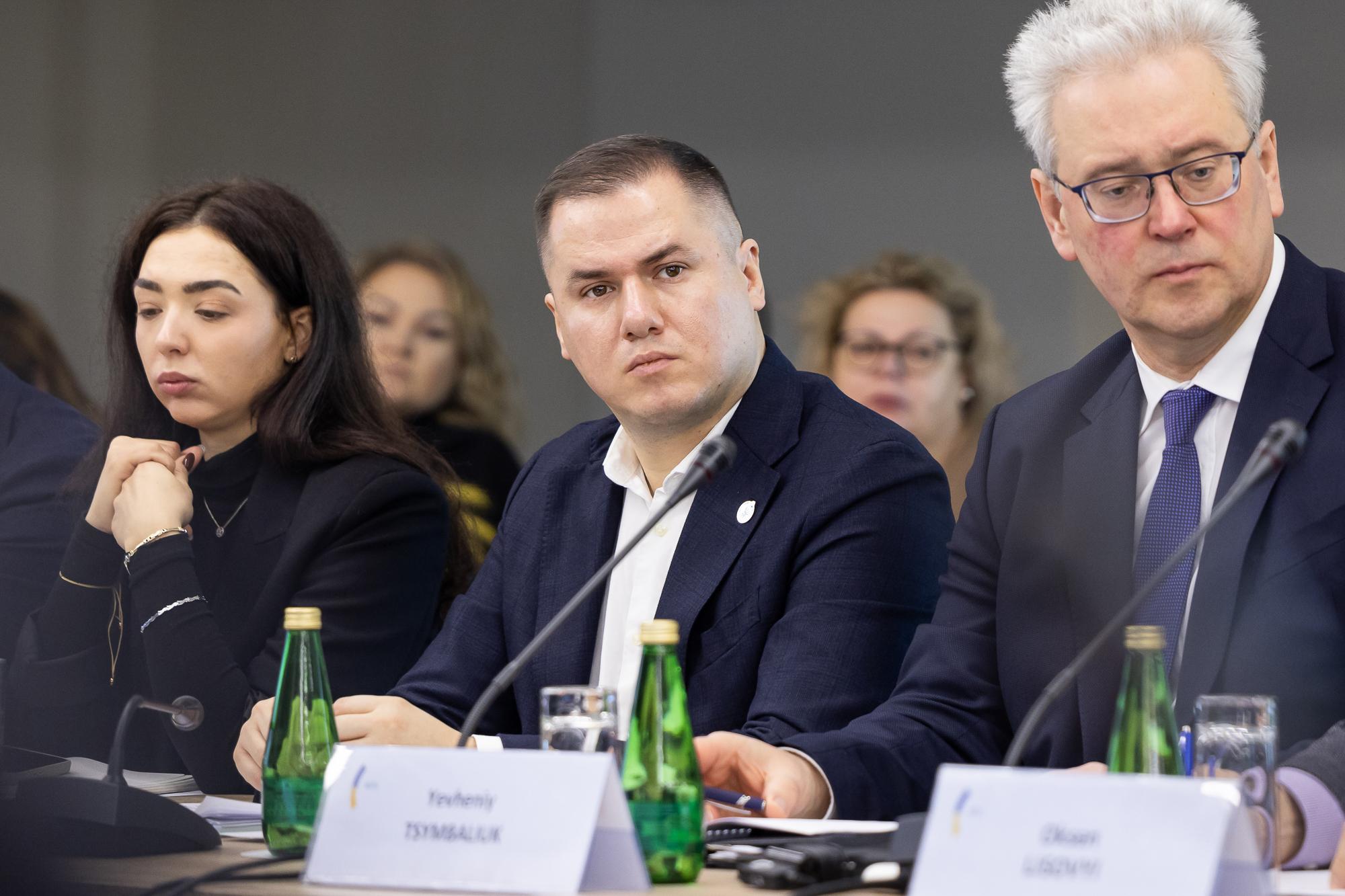 Україна: досягнення в межах «Партнерства Біарріц»