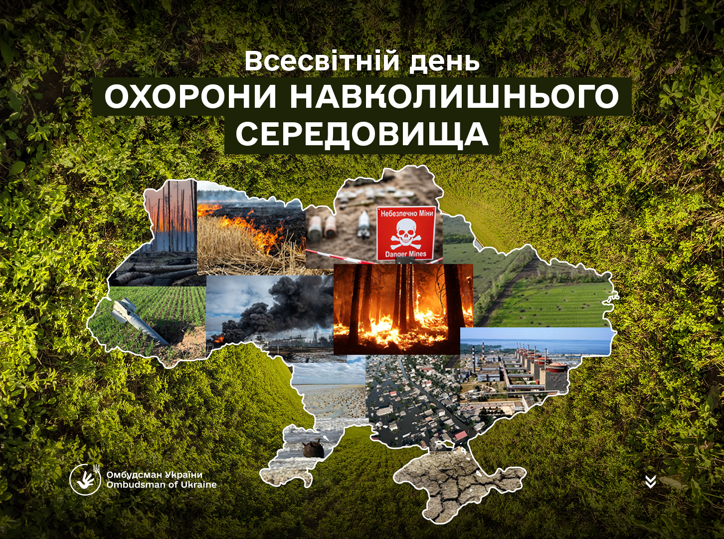 Сьогодні відзначають Всесвітній день охорони навколишнього середовища