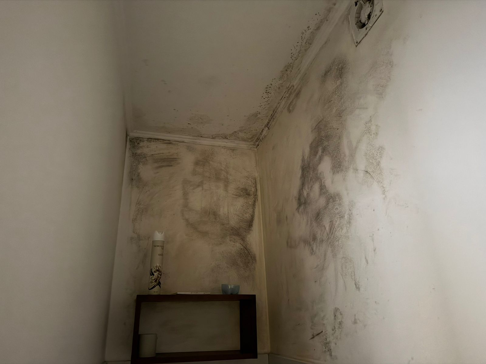 Моніторинговий візит до місця тимчасового проживання ВПО на базі Чорногузівського сільського будинку культури в Чернівецькій області