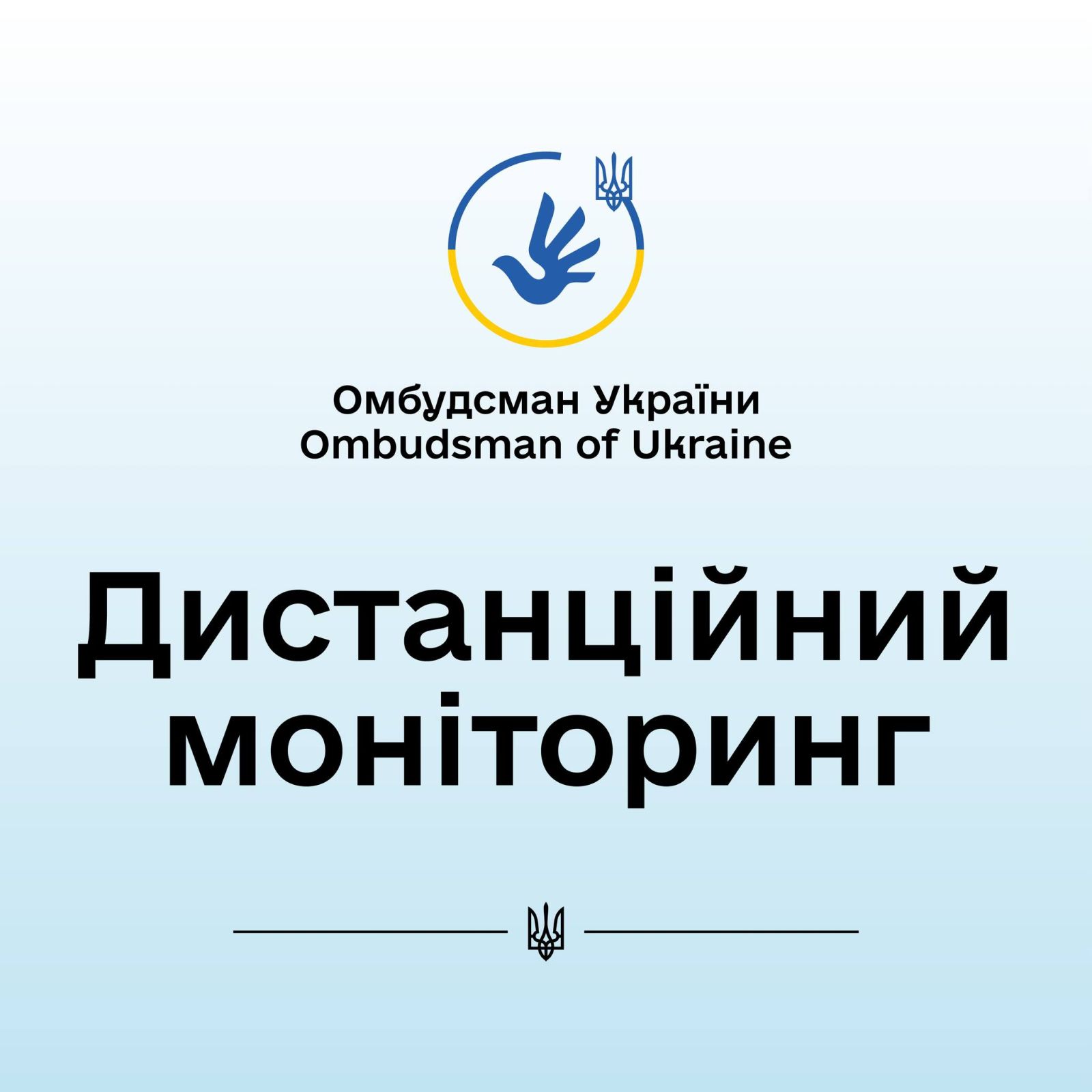 Перевірка додержання Височанською сільською радою у Чернігівській області прав на звернення та інформацію